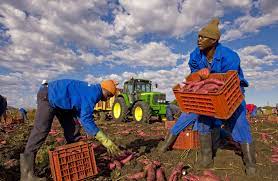 Migranti e lavoro